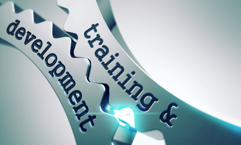 employee training and development - concept