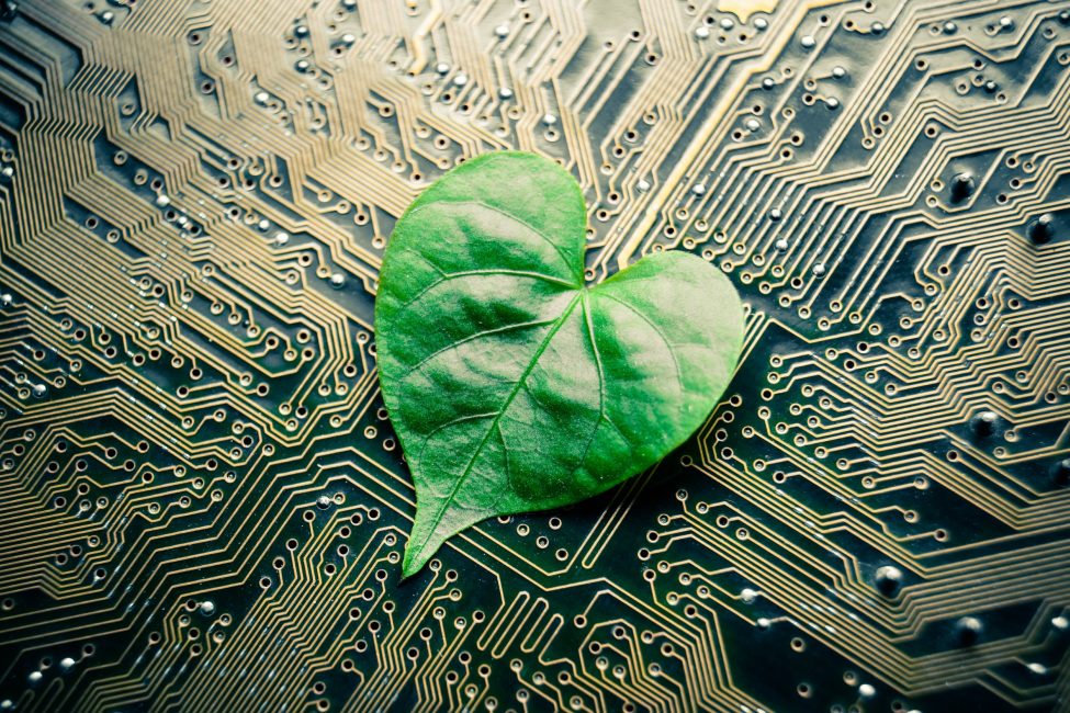 61897349_m_normal_none A green leaf with a heart shape on a computer circuit board / green it / green computing / csr / it ethics